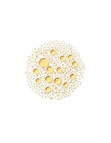 VICHY CAPITAL SOLEIL HUILE INV SPF50+ 200ML